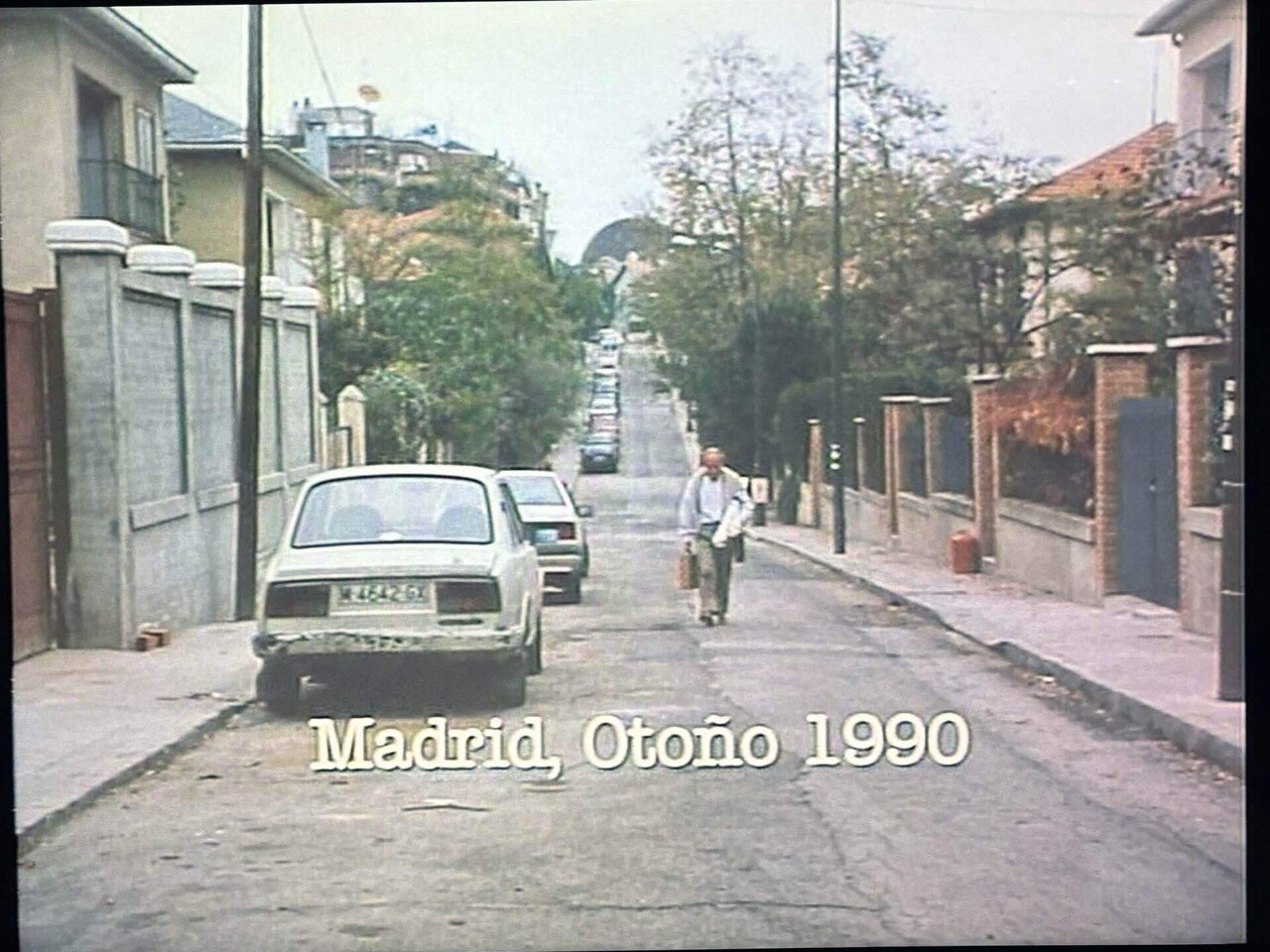 廃盤希少　マルメロの陽光　('92スペイン) エリセ　監督作品 マルメロの陽光 | 内容・スタッフ・キャスト・配信・作品情報