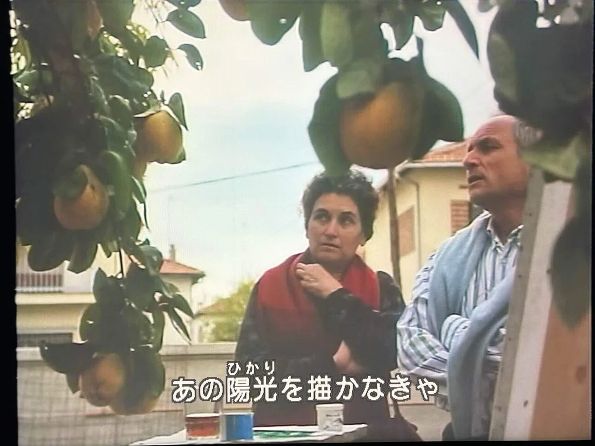マルメロの陽光(1992)｜TADASHI TAKEZAKI