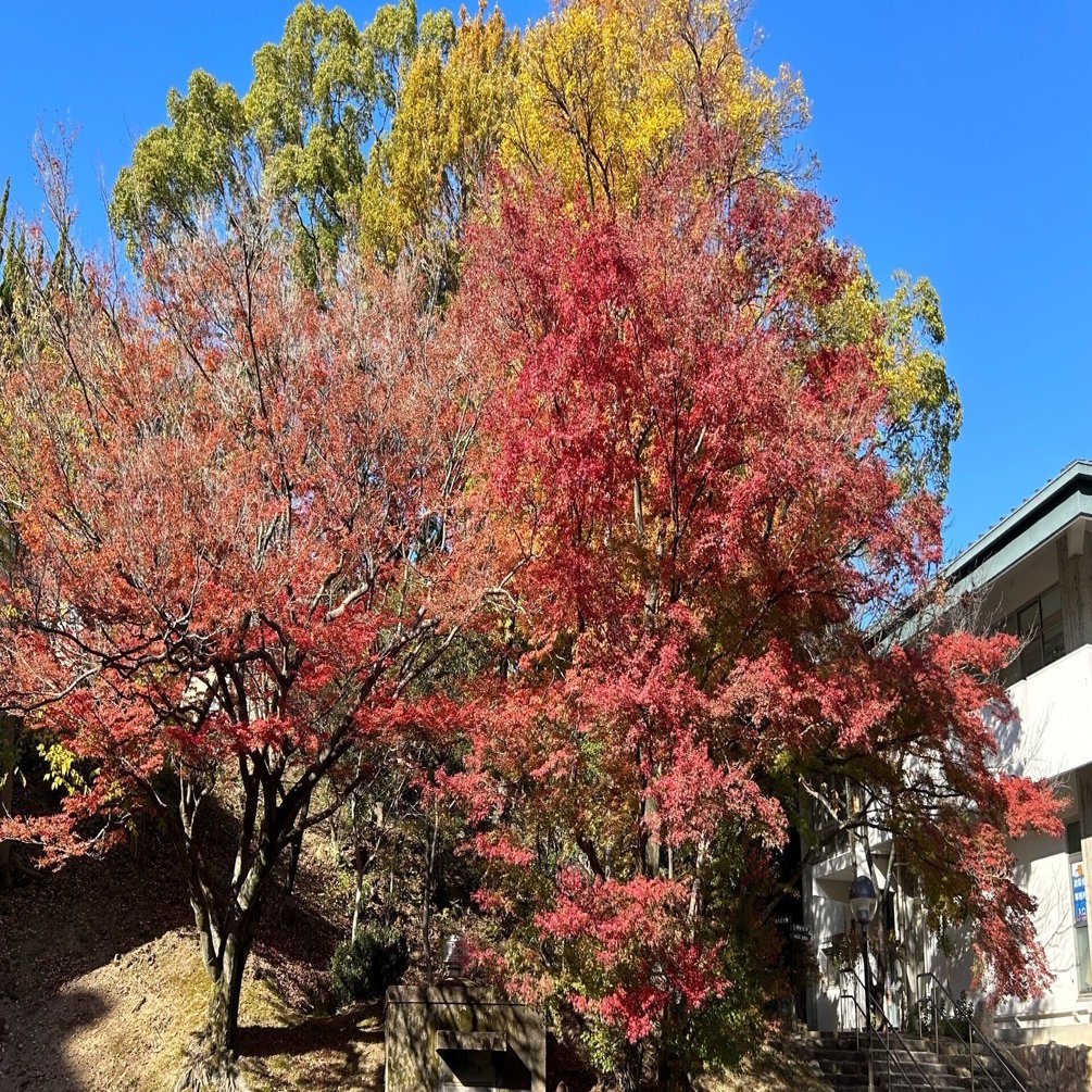 ECC編入予備校　経済学 合格実績｜大学編入のことなら専門予備校のECC編入学院