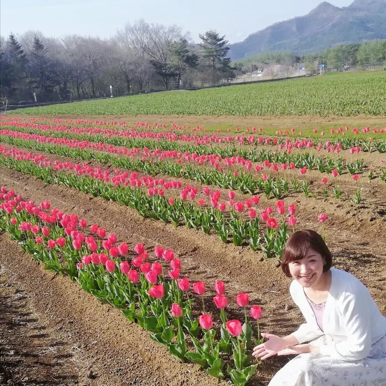 謎の専業主婦🌸リンダの日記(^^)呟き専用