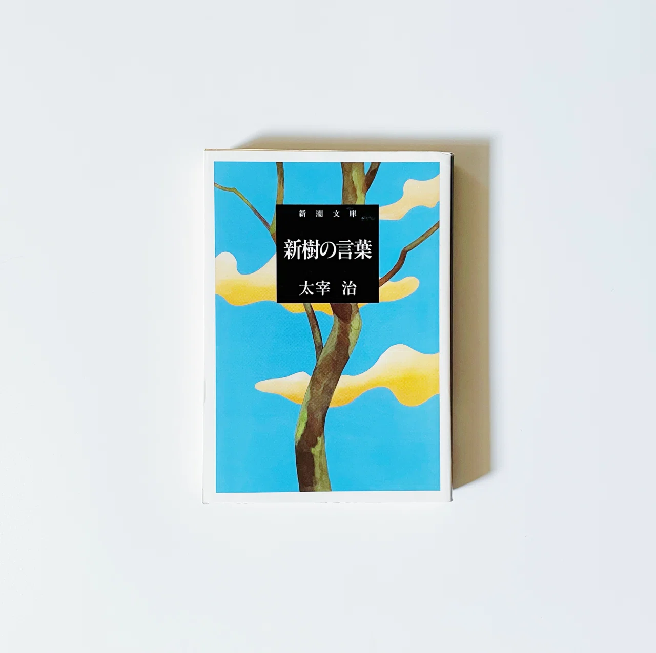 16 太宰治全部読む ｜『晩年』から『走れメロス』へ、試行錯誤の過渡期 