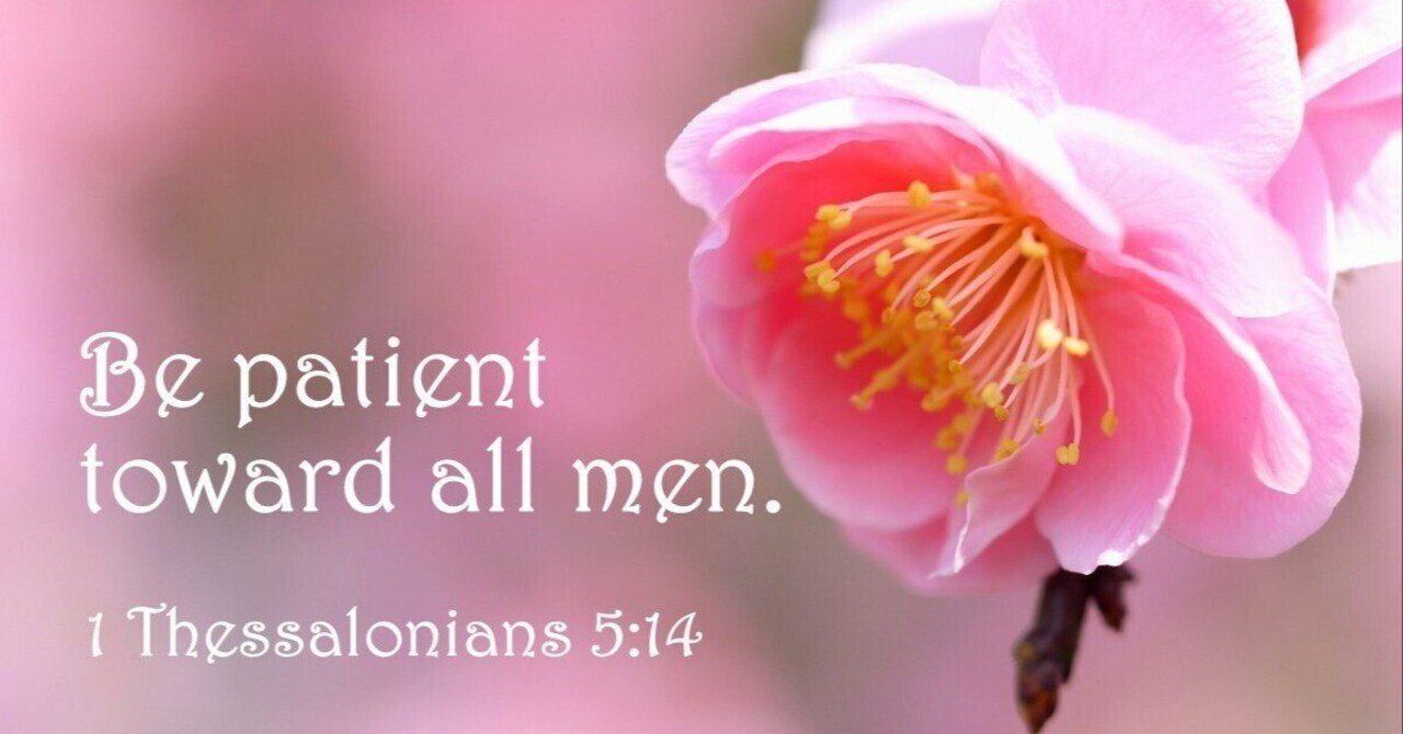 忍耐強く接しなさい｜バイブルライン, image size:1280x670