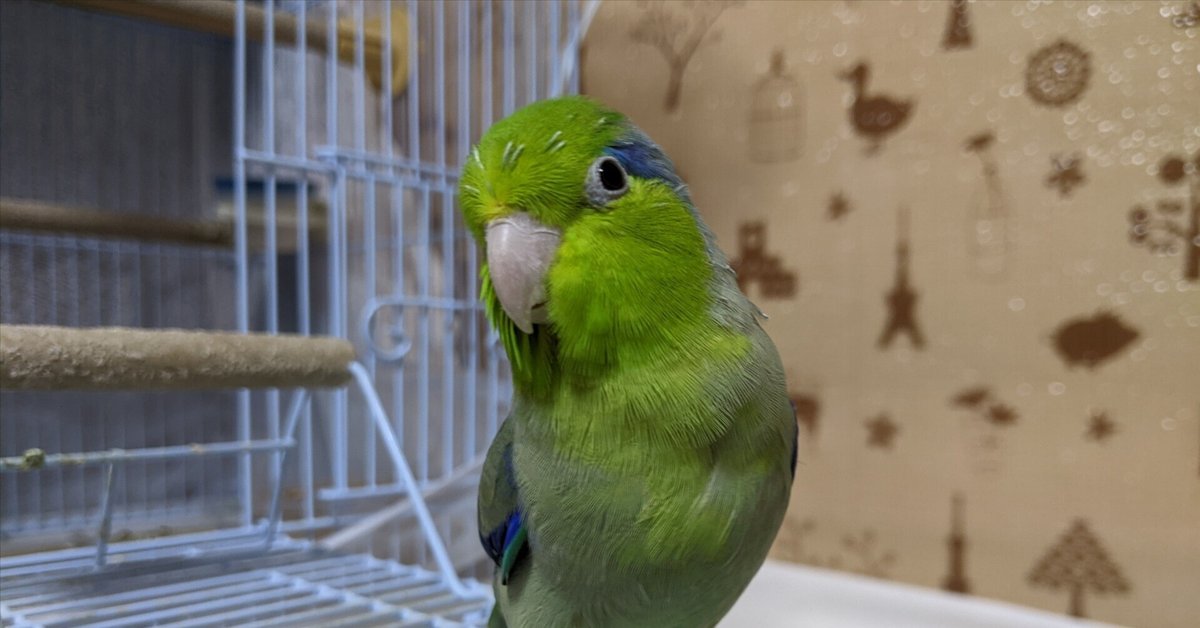 メルリ様　ご相談 mqdefault.jpg