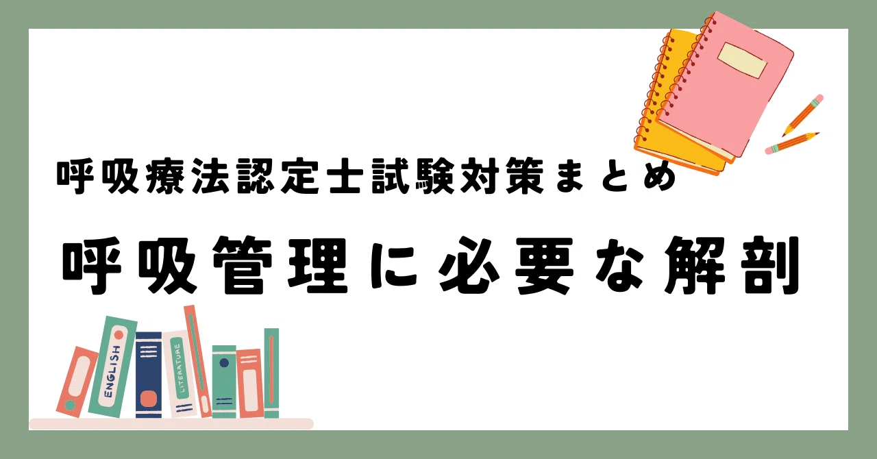 Summary of 'Anatomy Required for Respiratory Management' for the ...