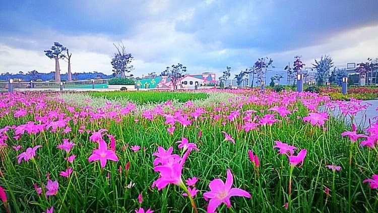 喉かな公園がありました…(*´ー｀*)