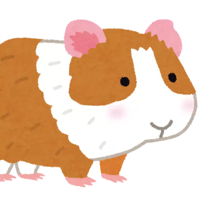 もるも