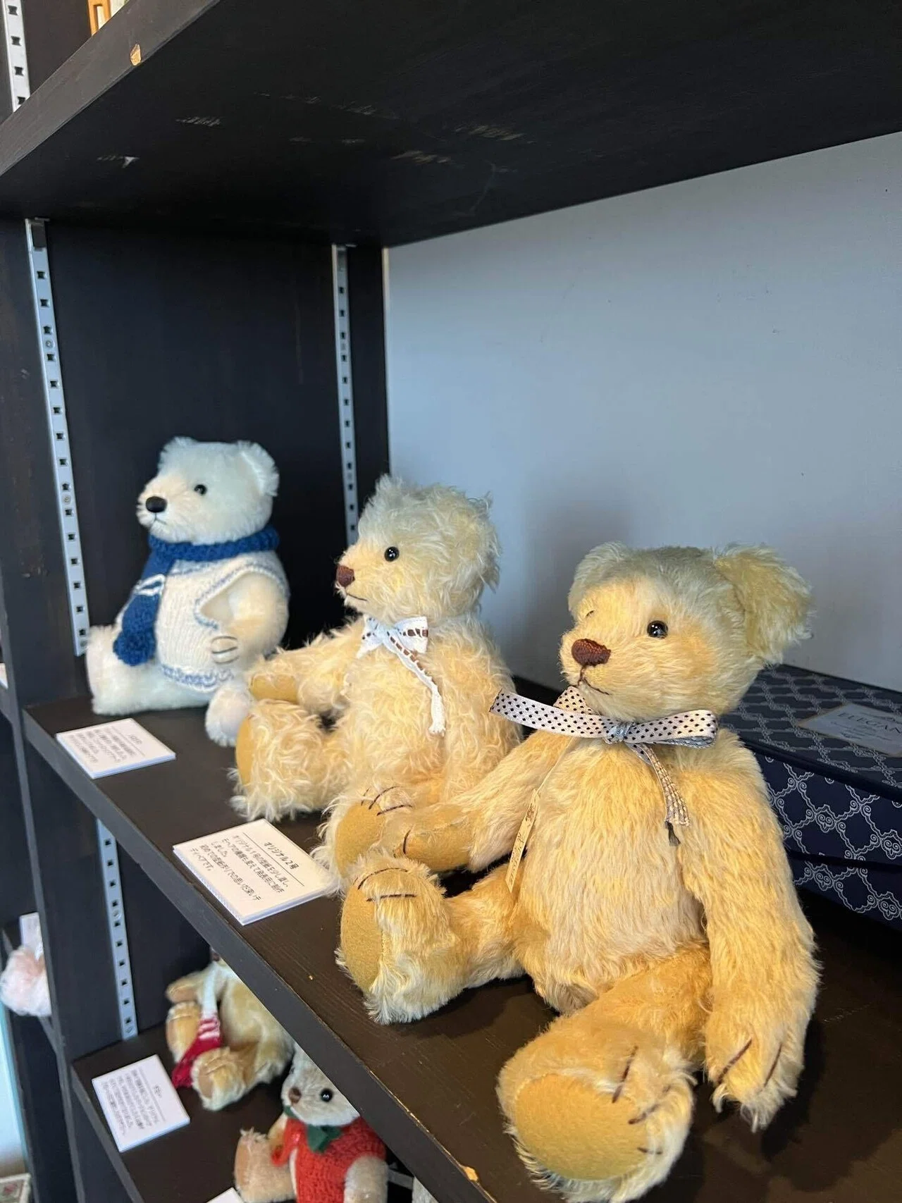 Let's Have Fun Taking Photos of Teddy Bears with Your Smartphone