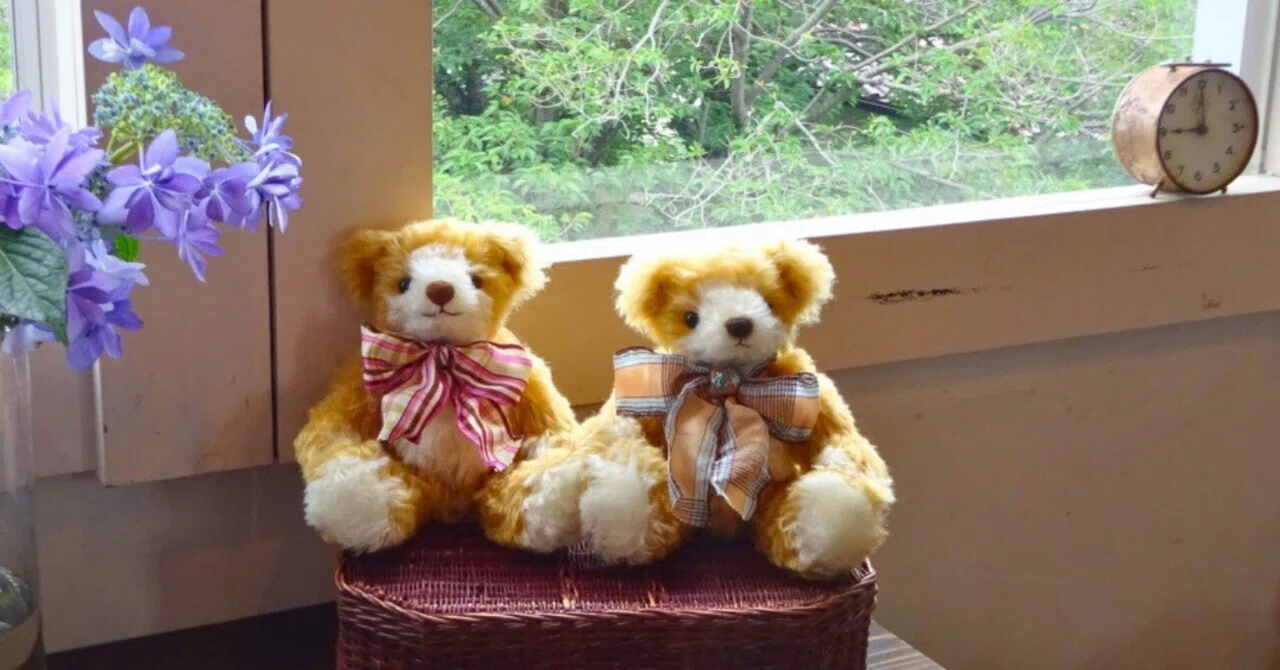 Let's Have Fun Taking Photos of Teddy Bears with Your Smartphone