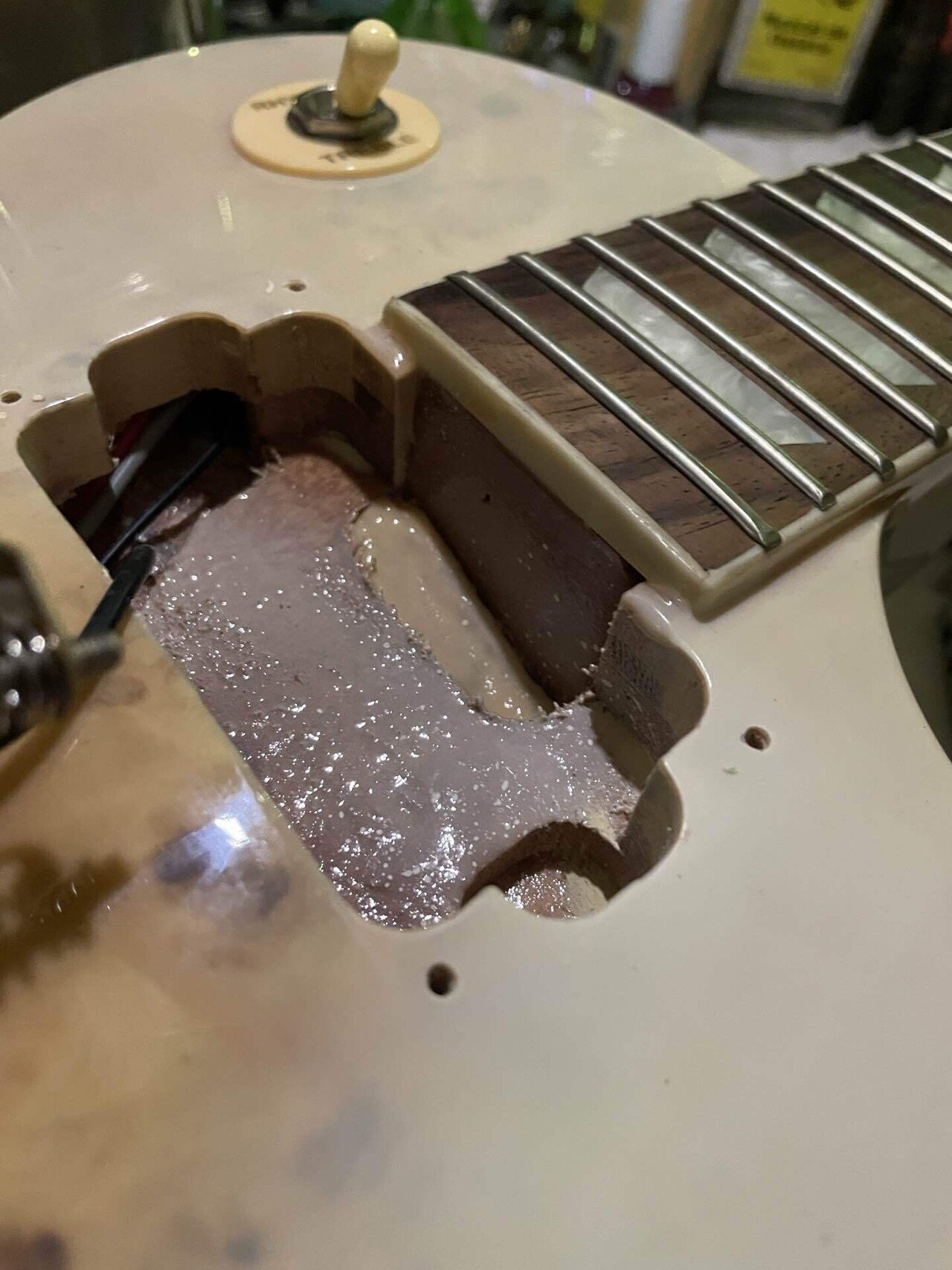 エキゾチックトップギターの見た目はいいけどね｜Shinya Nakayama