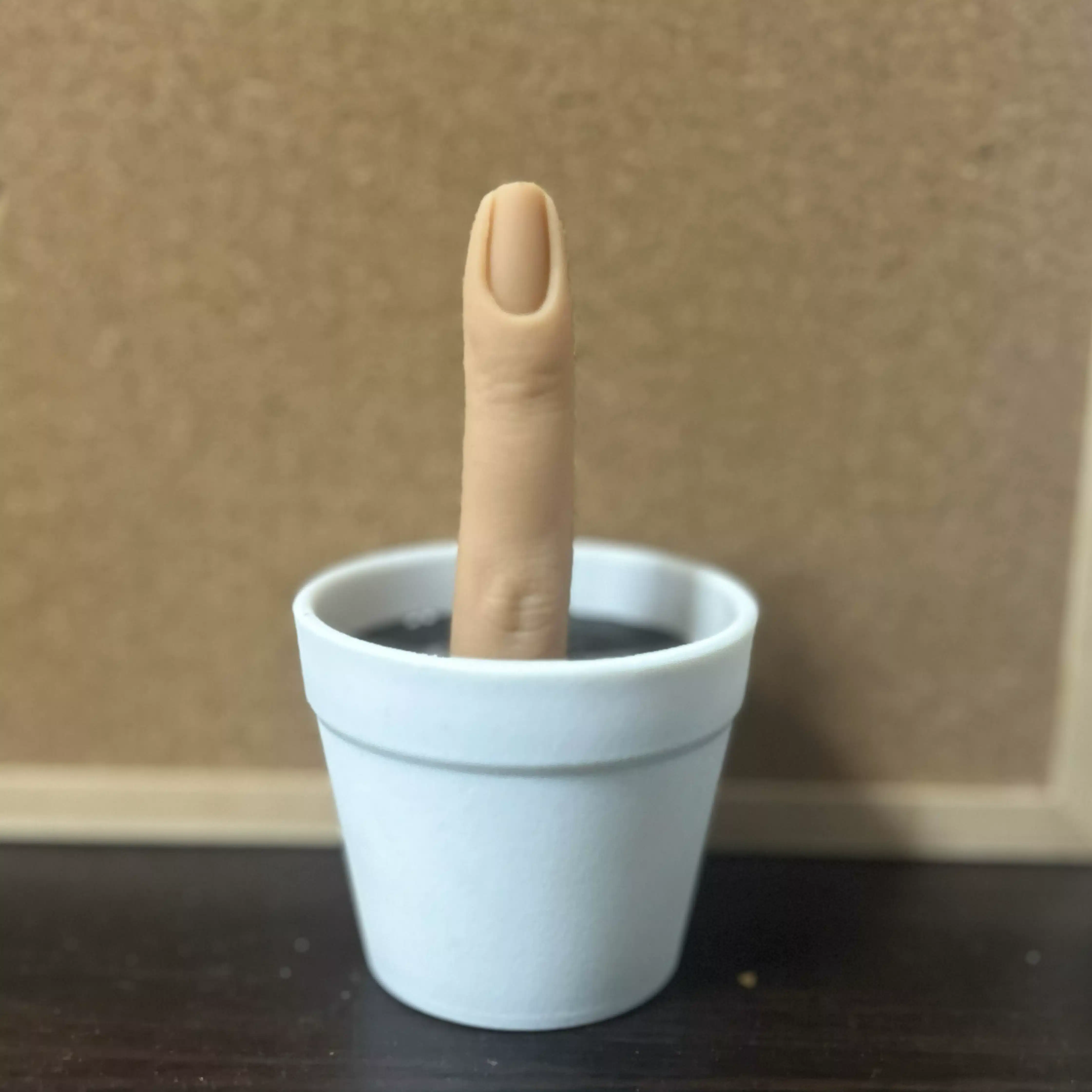 五月雨八宝美人