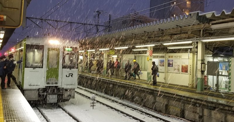 大雪の関東　～埼玉の雪景色を見に行く