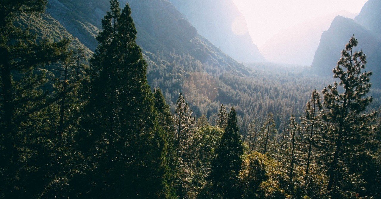 トリンギット族の古老エドウィンの素敵な言葉 湯川和幸 Note