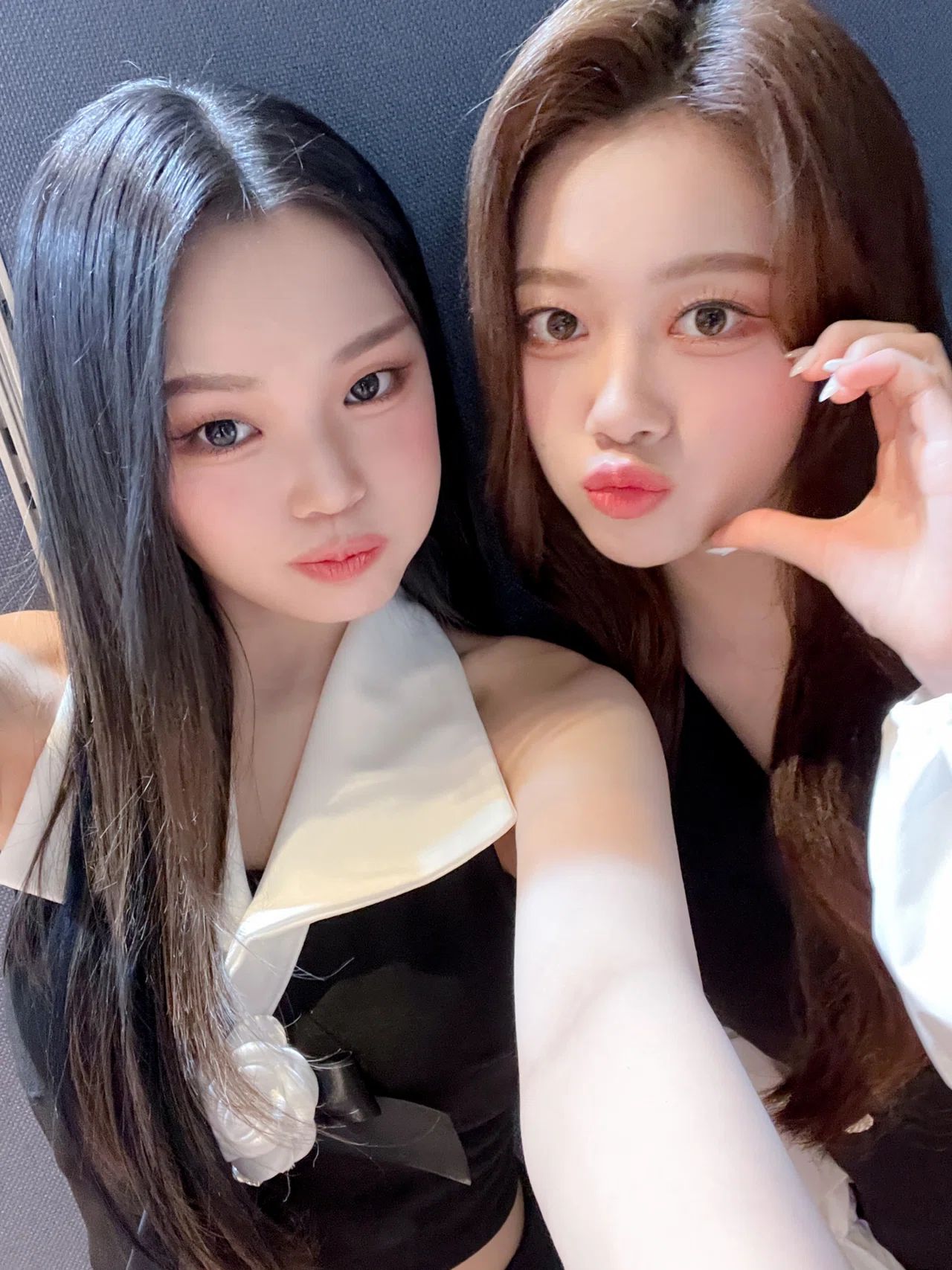 不思議な魅力とビジュワールドのA SIX｜YuiDaily