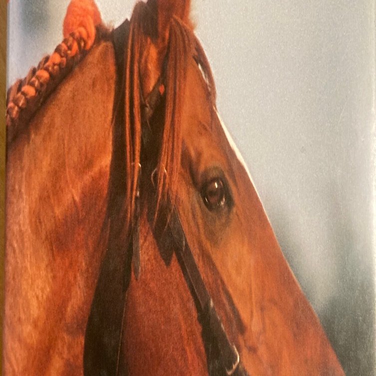 名馬紹介 テンポイント その9｜dorayaki