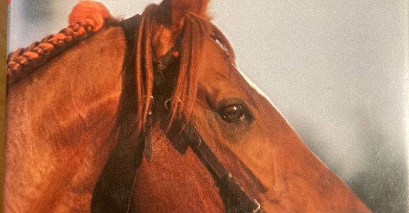 テンポイント｜dorayaki｜note