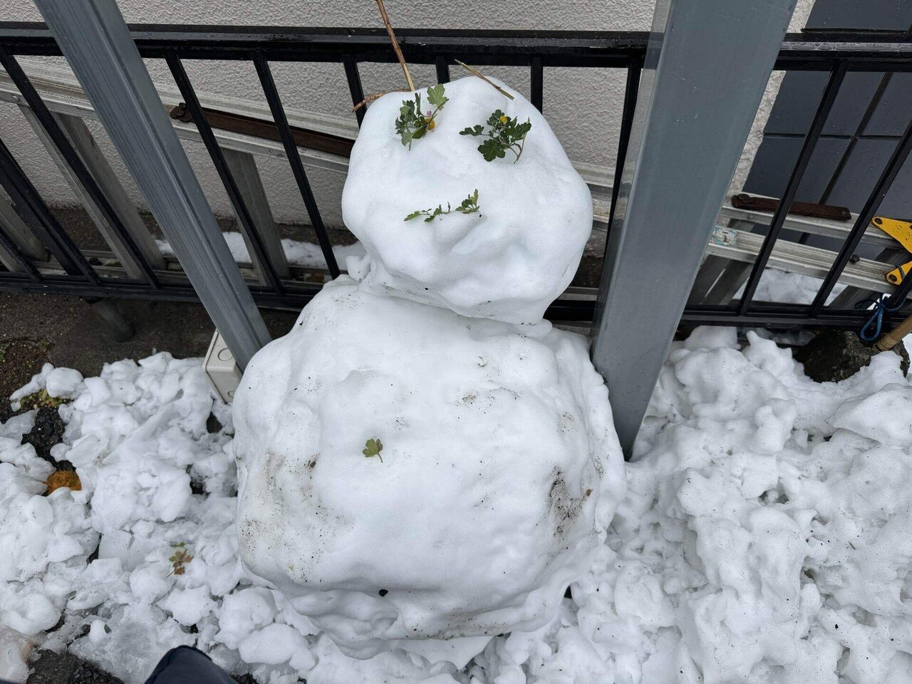 雑記 867 雪だるま｜yayayasu
