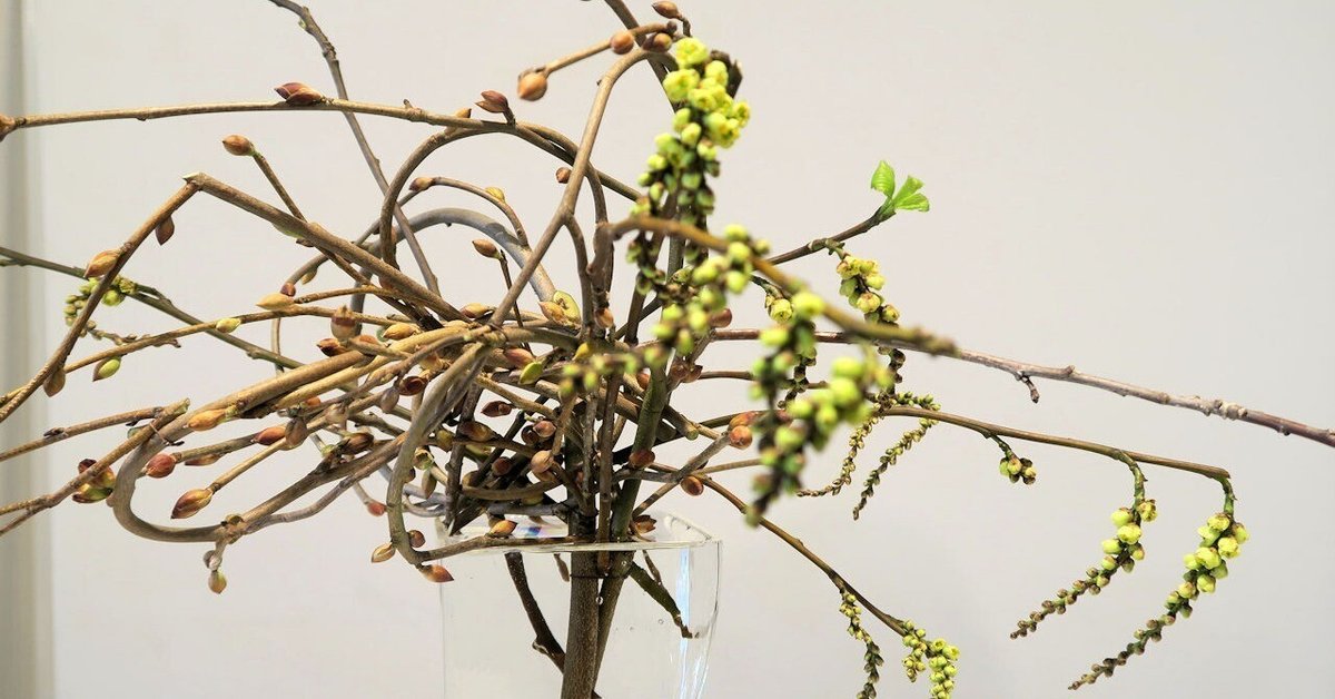鳳雲斎 小菅吼月作 竹細工 鮎籠花入 （こんな感じに考えます｜秋峰）