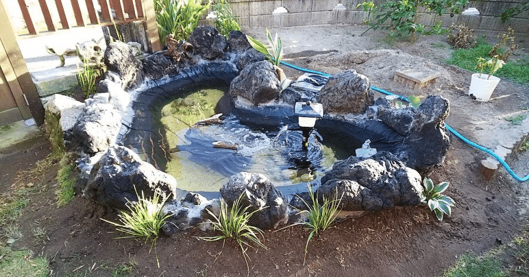 DIYで庭に小さな池を作る！水の音に癒される空間にしませんか