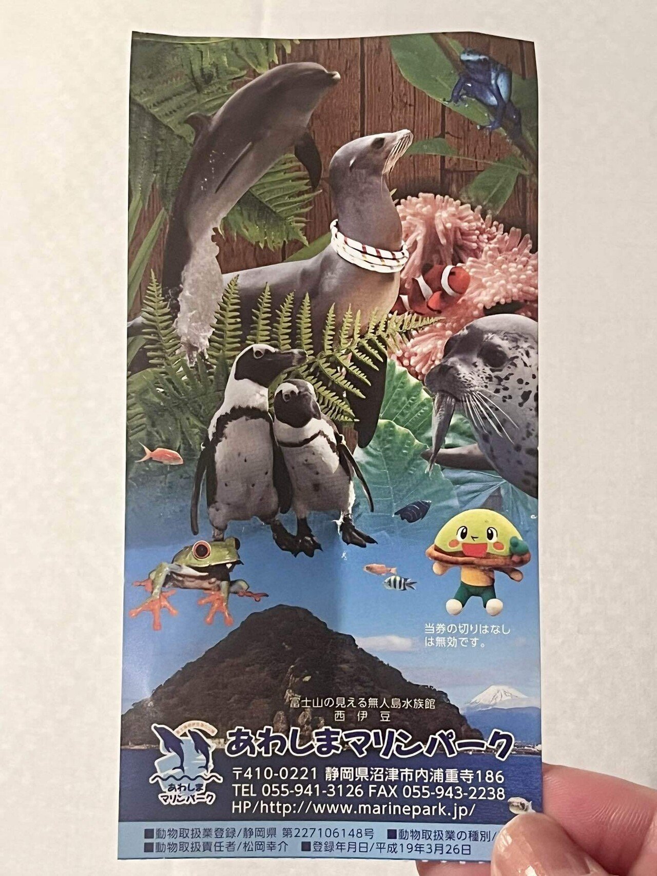 2024年水族館レポート#5ありがとう！あわしまマリンパークPart1｜さめ