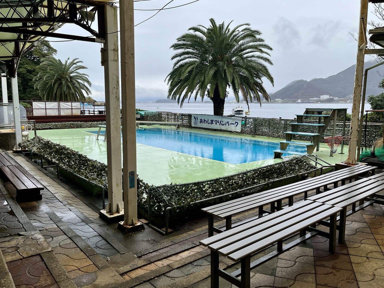 2024年水族館レポート#5ありがとう！あわしまマリンパークPart1｜さめ