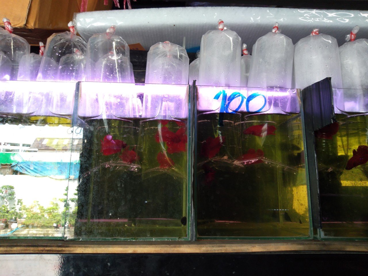 19年版 タイの個人輸入ビジネスの最新状況 芋売る人 ときどきコンサル Note 19年版 タイの個人輸入ビジネスの最新状況 芋売る人 ときどきコンサル Note