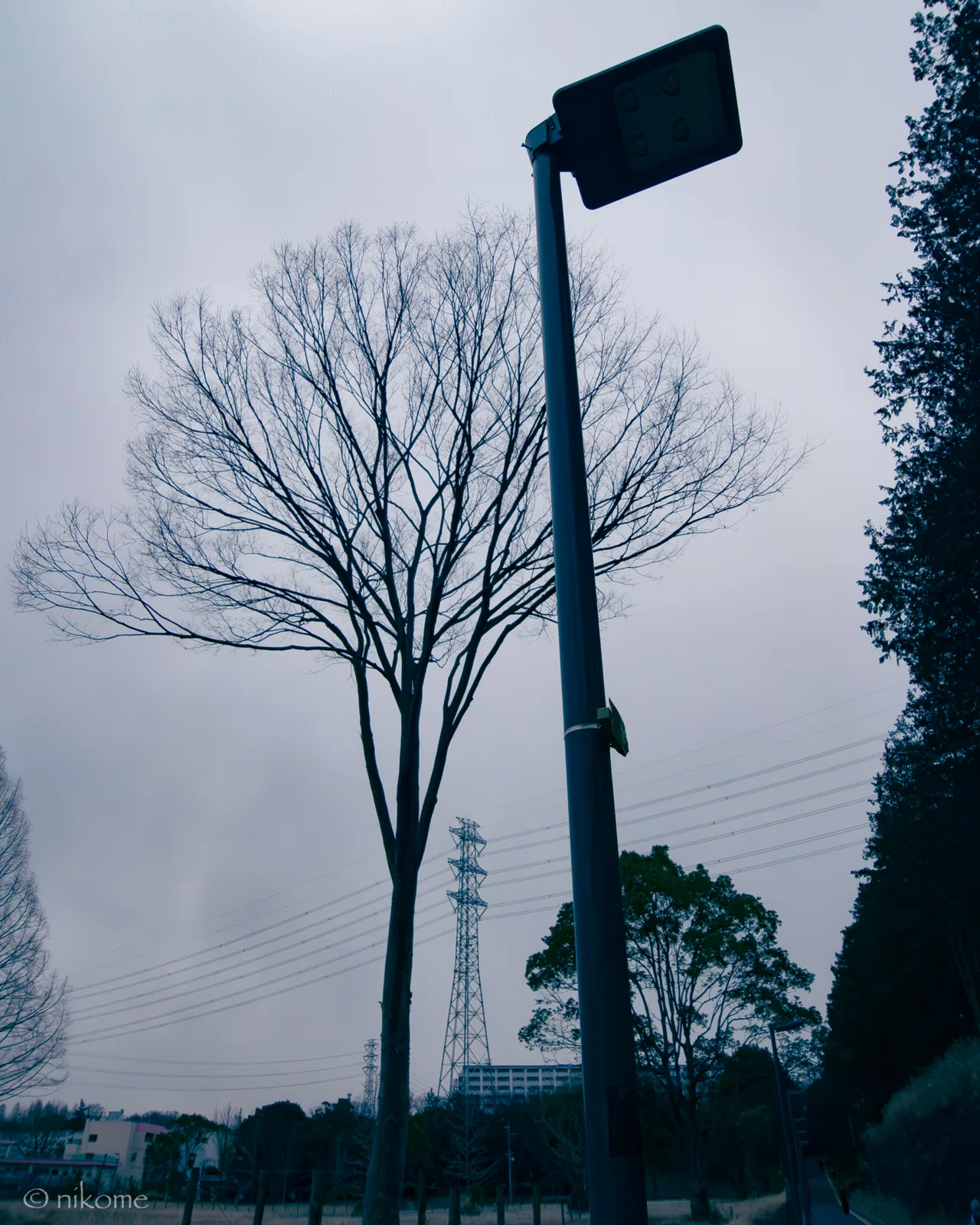 散歩写真か【RICOH GX200】|よしあき (@nikome)