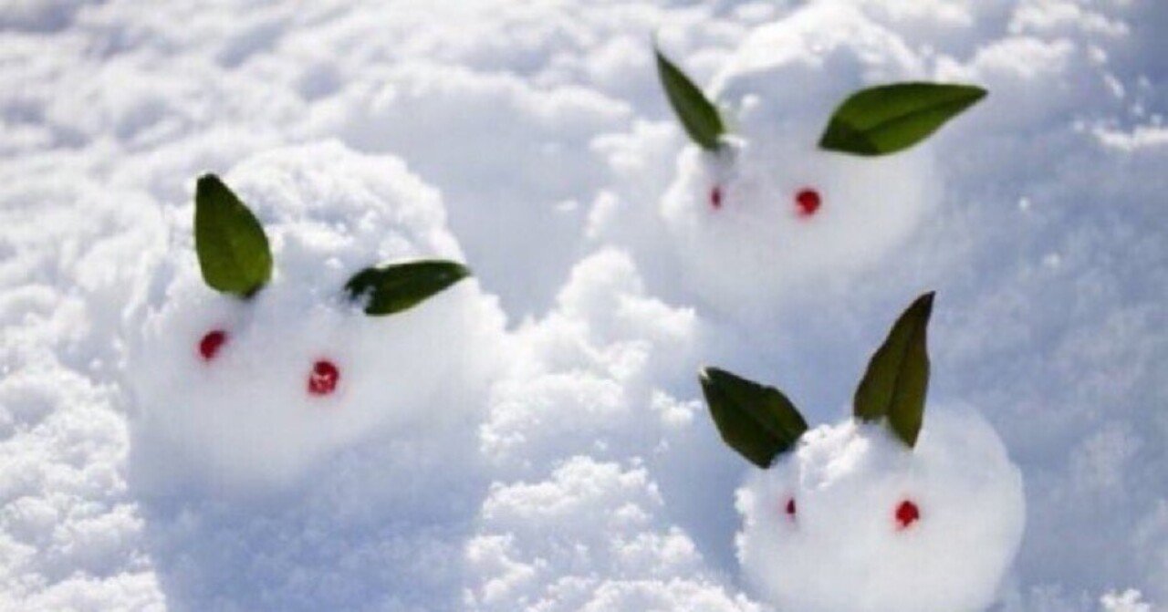雪うさぎ｜🍀世界の癒される風景🍀