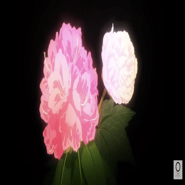 毒花 特集「毒草」 | Flower Database