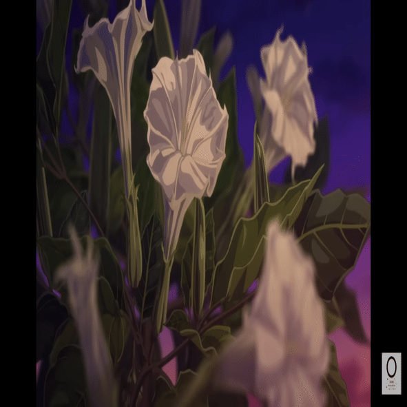 薬屋のひとりごと OP映像に見る毒花｜ススキノ