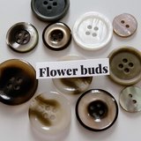 flower__buds