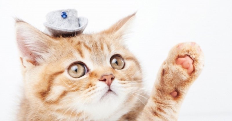 これが当てはまればあなたもクリエイティブな人 こしあん note