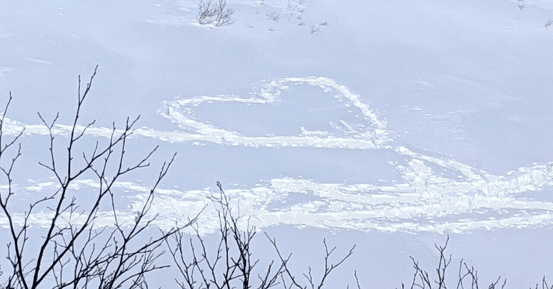 雪色の華