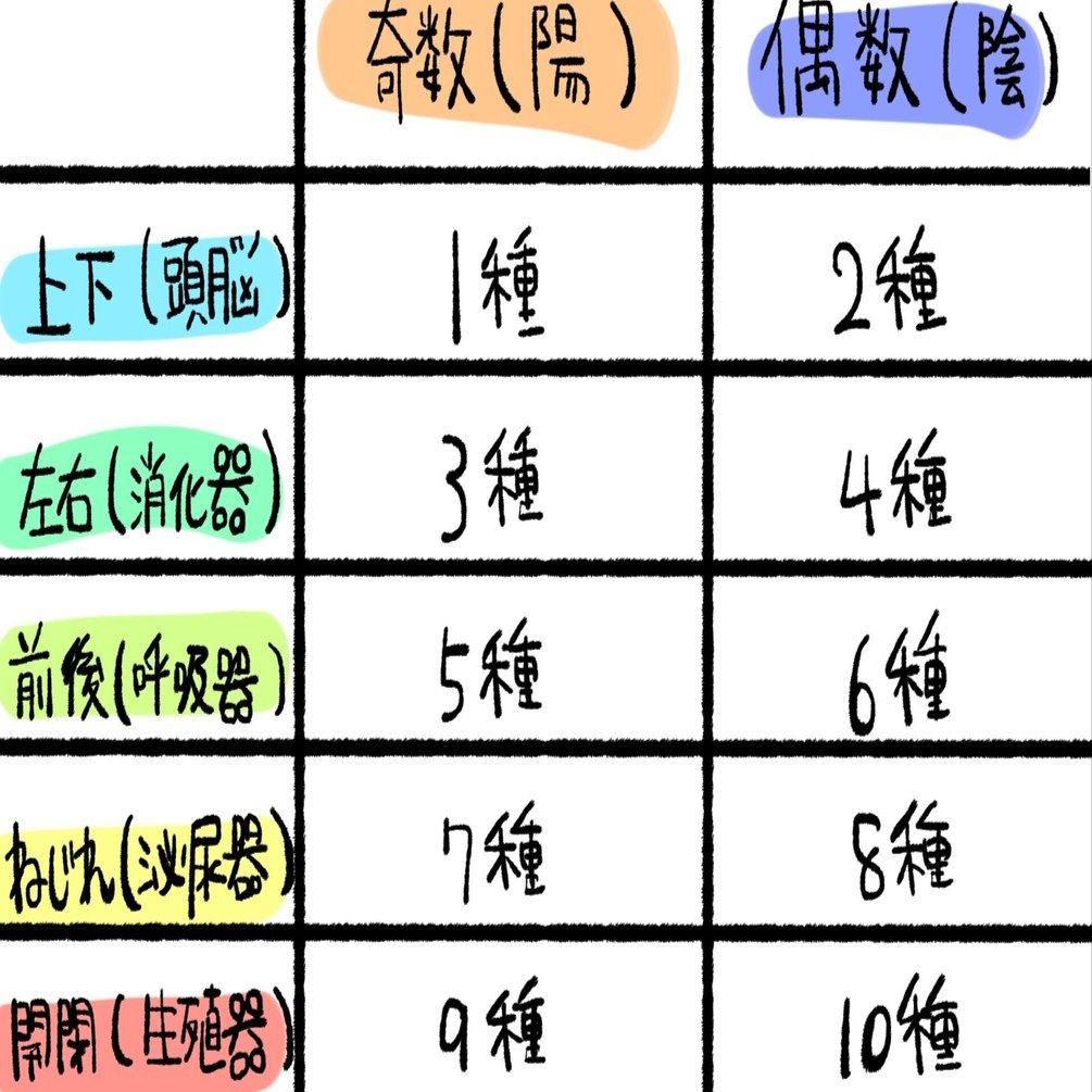 体癖論がすげー好きって話しましたっけ？？｜るーこ