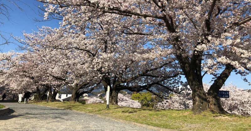 福岡ツアー 2024年３月