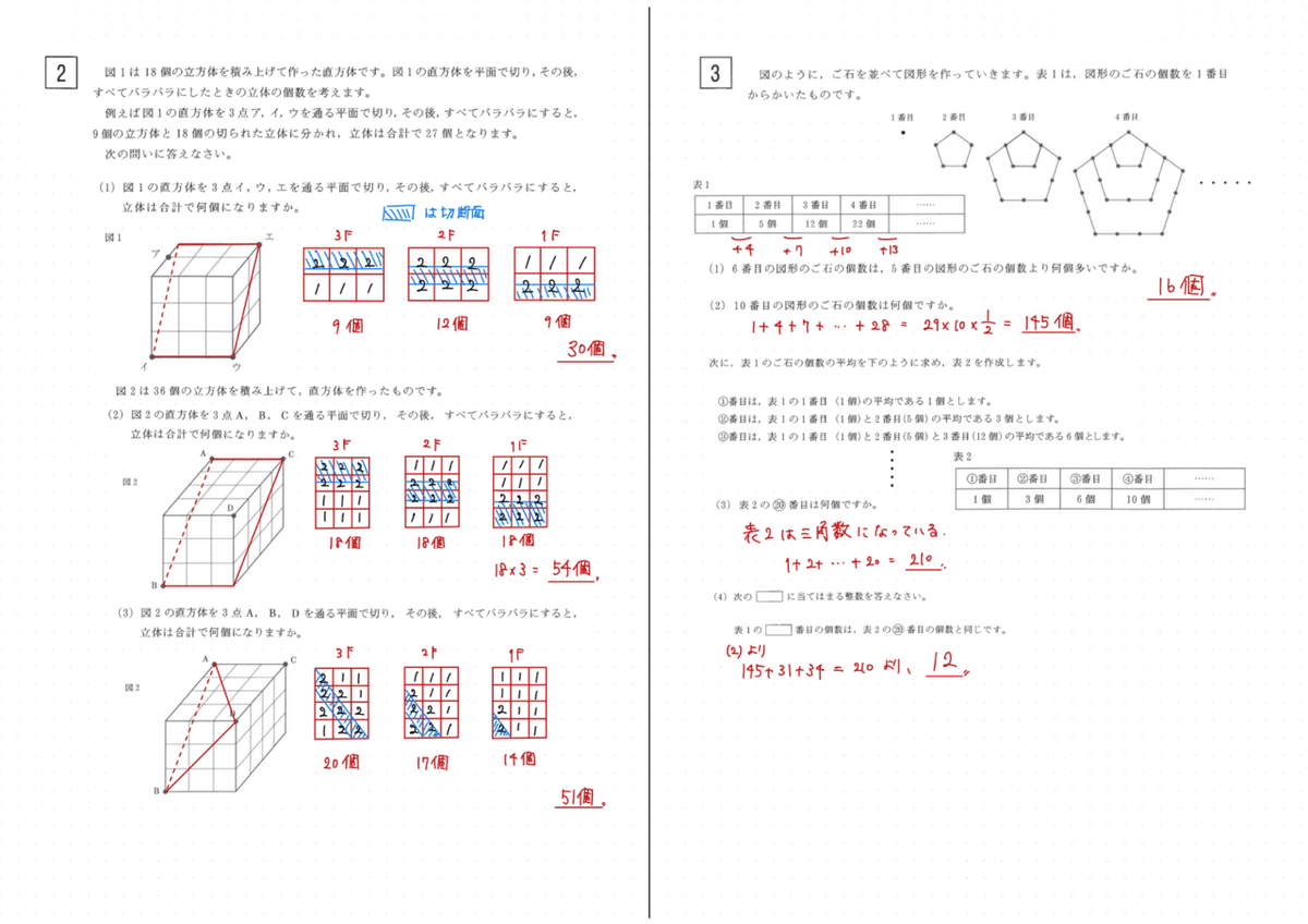 2024 渋渋 算数｜うえたけ