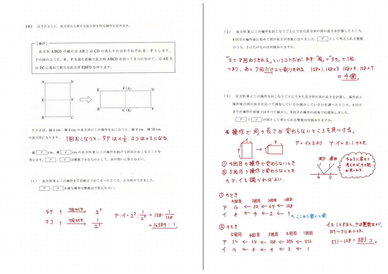 2024 SE 聖光学院対策プリント　フルセット算数 2024 聖光学院中 算数｜うえたけ