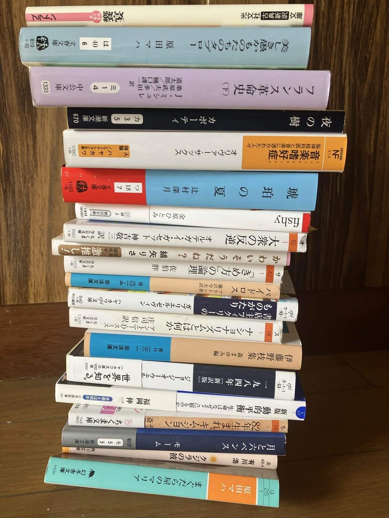 積ん読」を晒そうと数えたら89冊あったので、いったん全て紹介します 