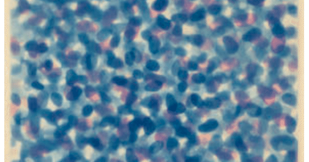 a61b2d4c01bba140fe727c13847d96