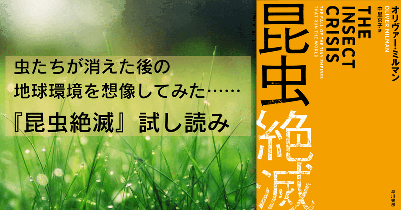 昆虫絶滅が人類に与えるインパクトとは？『昆虫絶滅』本文試し読み