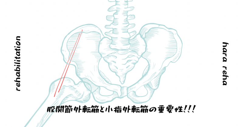 内反尖足は「股関節外転筋」が使えていない⁇［股関節外転筋と小趾外転筋の活用について］