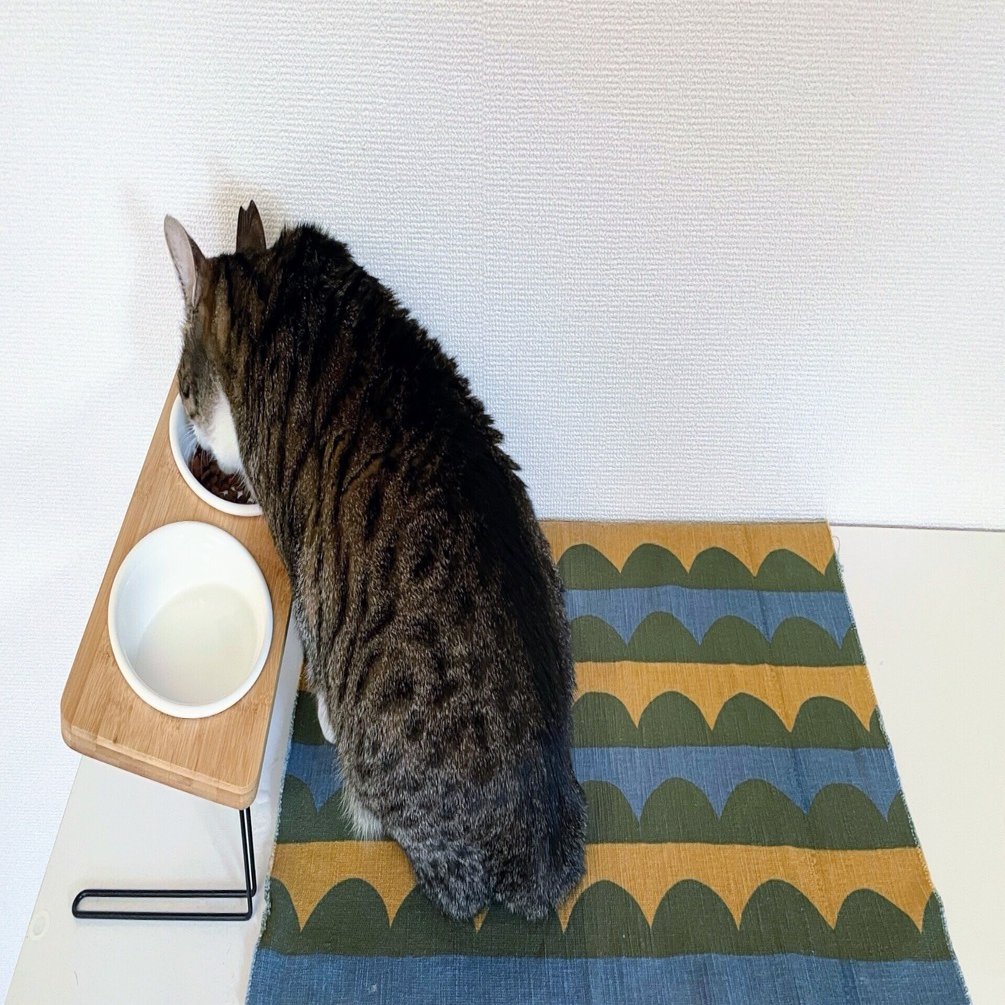 柚木沙弥郎　猫とさかな 　（大）37センチ✖️44センチ 柚木沙弥郎 猫とさかな （大）37センチ✖️44センチ Amazon.co