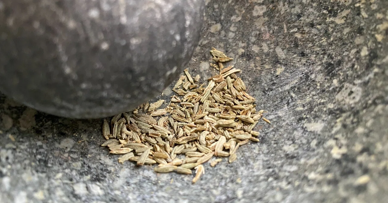 Difference Spices 227. What is the best spice to make red sea bream taste delicious ...