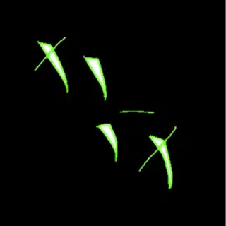 ナノハナ
