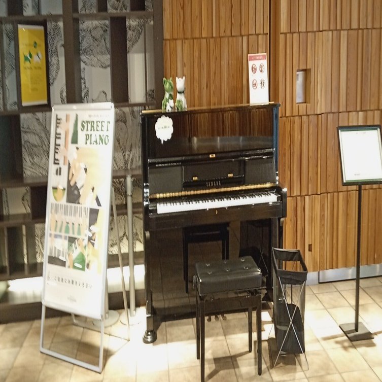 道の開き方 ~ストピデビュー~｜林 利恵