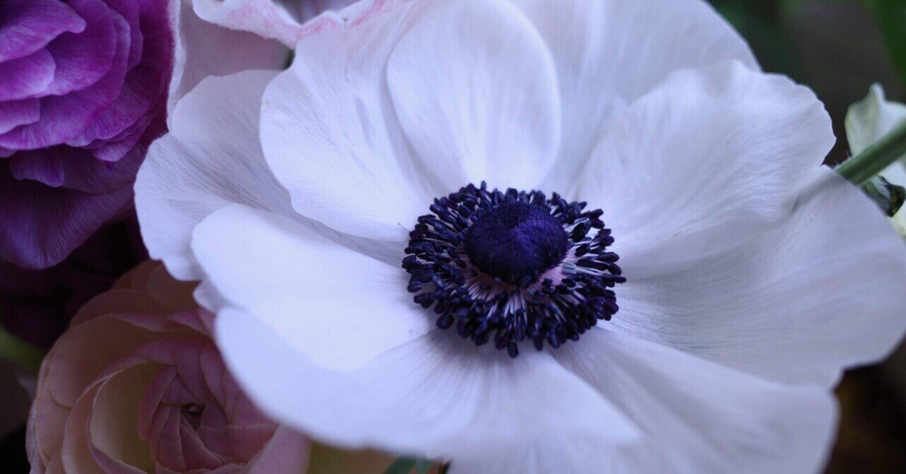 RICOH GR Ⅲを1ヶ月使ってみて｜鈴木彩可