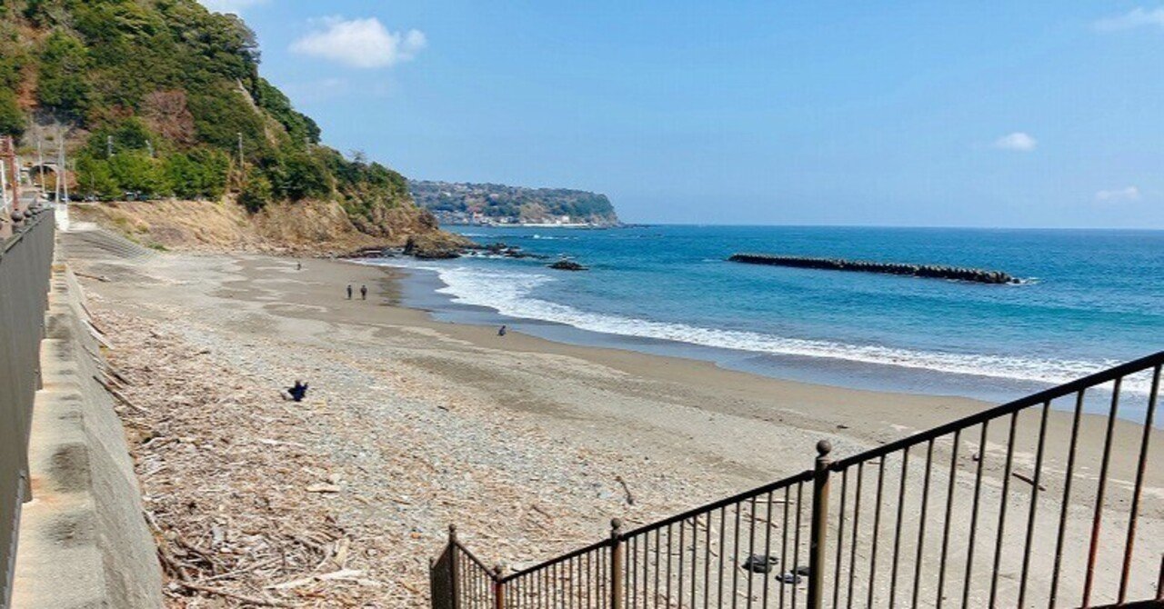 神秘的な形の流木 岩のような流木 受賞作品発表｜GEX