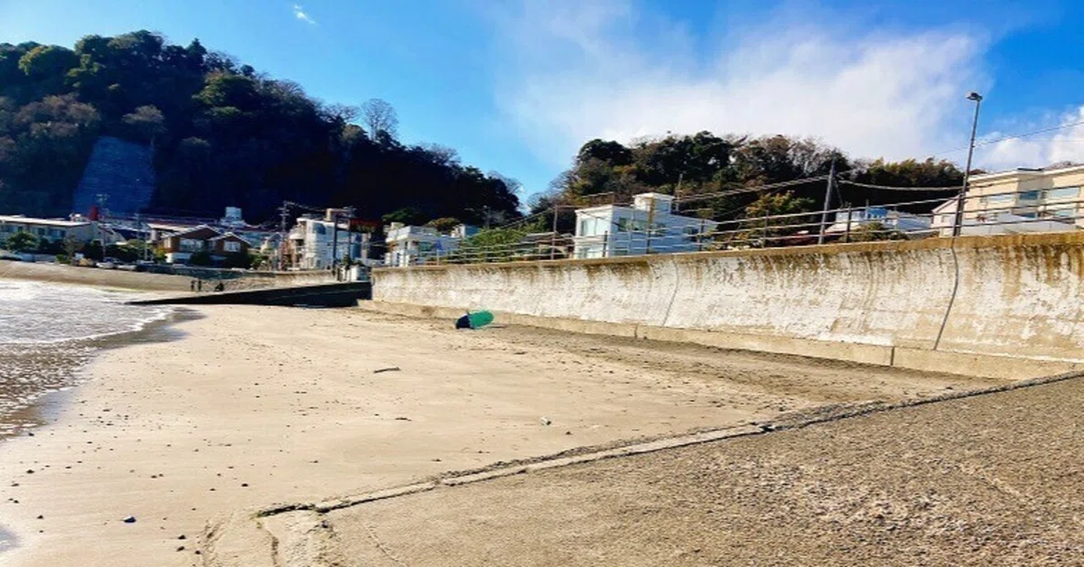 陶片にシーグラス、ハイガイに馬の歯の骨再び！?坂ノ下海岸で