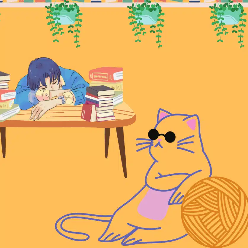 study〜グラねこ🕶〜
