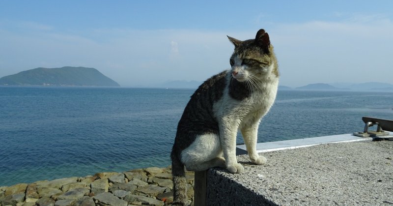 【フォト小説】たどりついたら猫の島