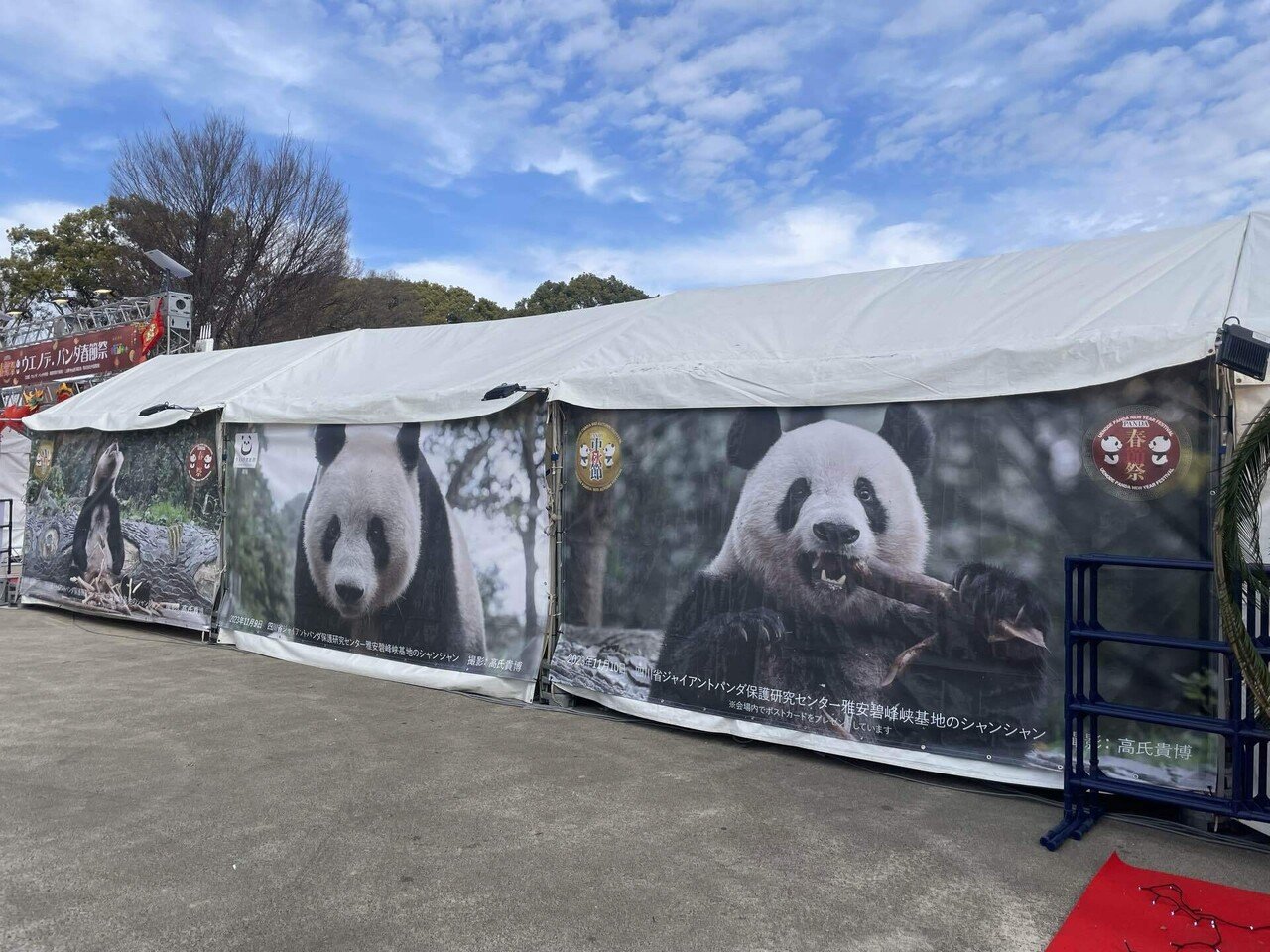 ウエノデ.パンダ春節祭2024｜上野案内所